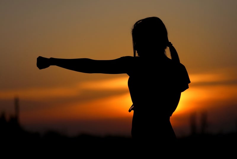 Mindful martial arts
